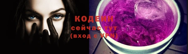 гашик Гусиноозёрск